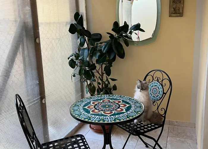 Casa Lady 아파트 *