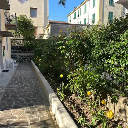 Casa Lady