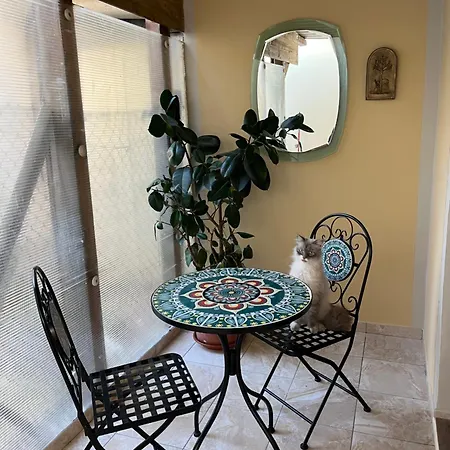 Casa Lady Apartment *