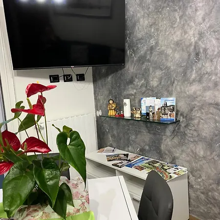 Casa Lady