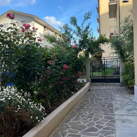 Casa Lady